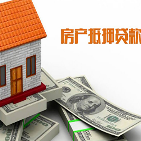 滴道贷款公司新渝启服怎么选择